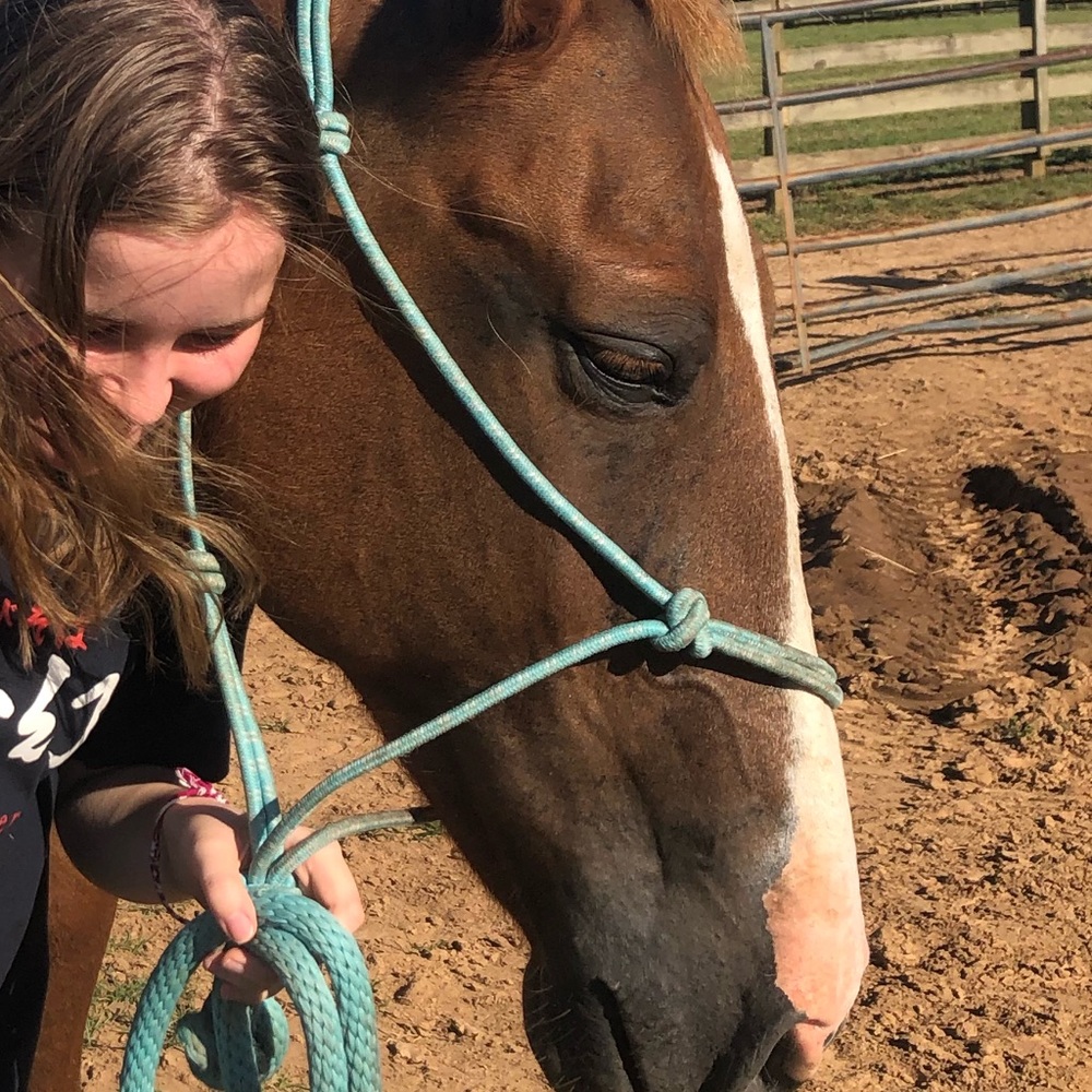 Meet your Posher, Lily